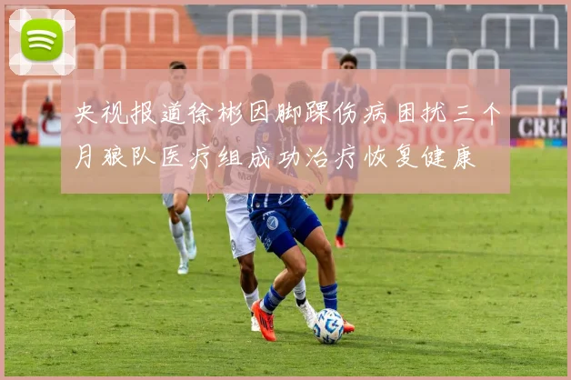 央视报道徐彬因脚踝伤病困扰三个月狼队医疗组成功治疗恢复健康