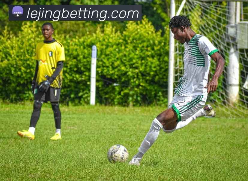 乐竟体育服务体系